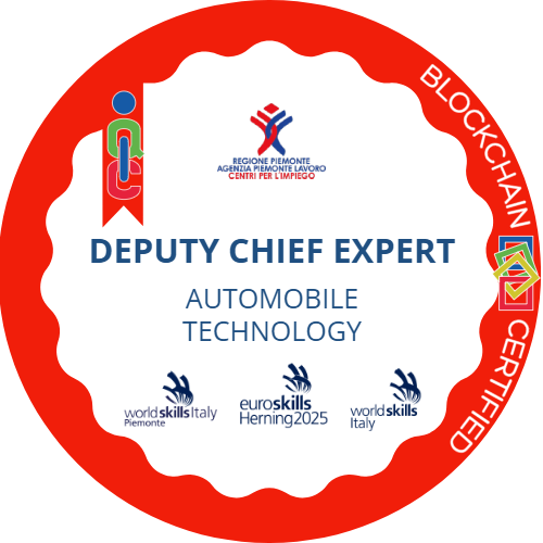 Deputy Chief Expert Automobile Technology Expert Automobile Technology ai Campionati dei Mestieri EuroSkills Herning 2025.